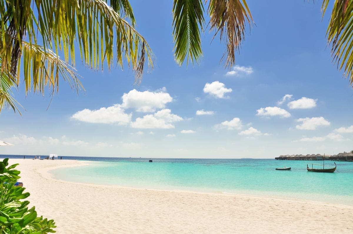 Caribbean CBI Real Estate vs Donation: Which Route Wins in 2026?