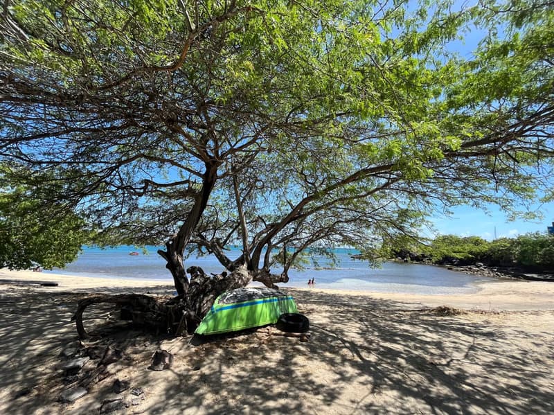 Part hôtelière au ONE True Blue Beach, Photo 5 sur 24