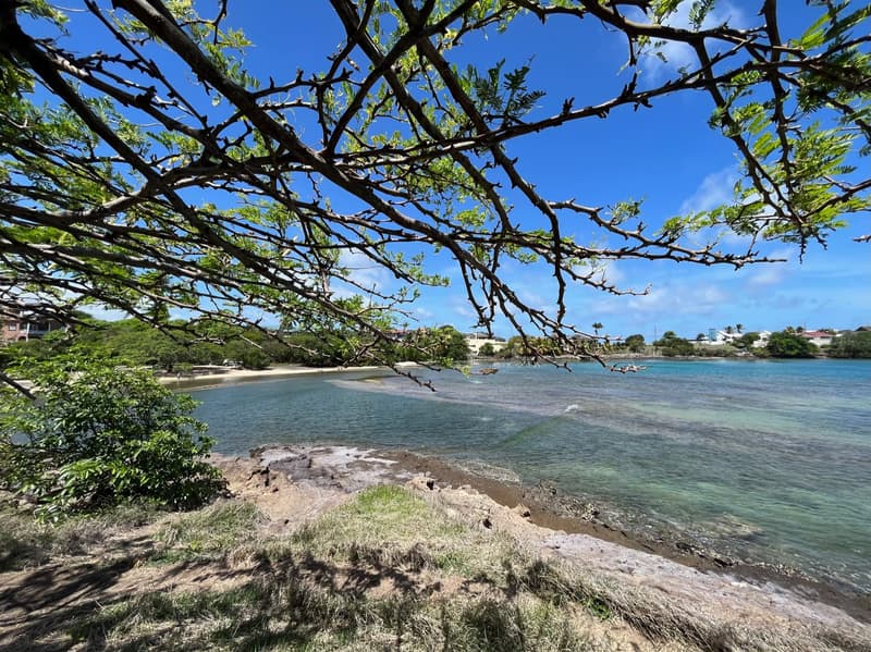 Part hôtelière au ONE True Blue Beach, Photo 7 sur 24