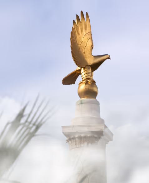 Investment migration programme overview — Mirabello Consultancy