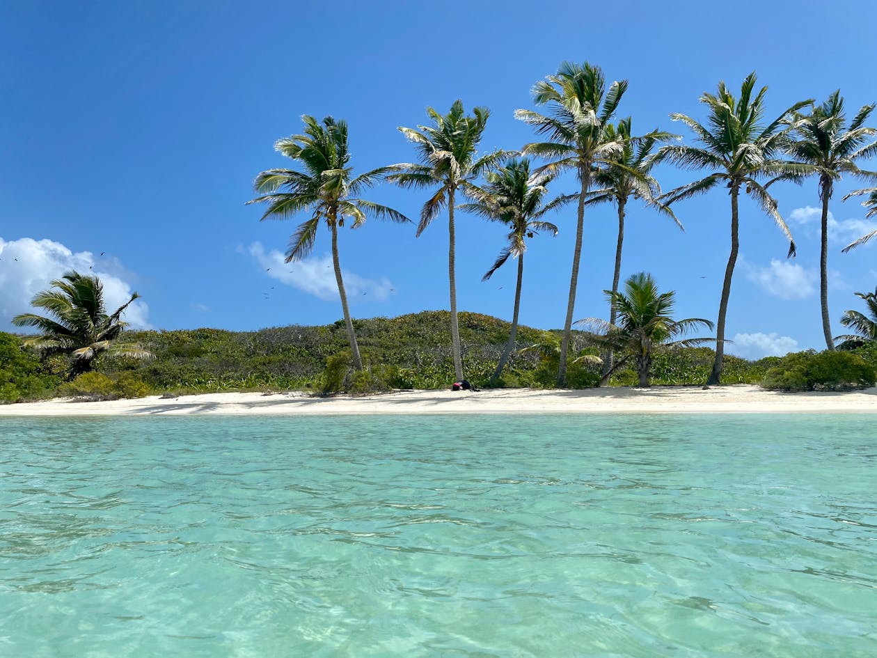Antigua vs Vanuatu Citizenship by Investment 2026: Which Is Better?