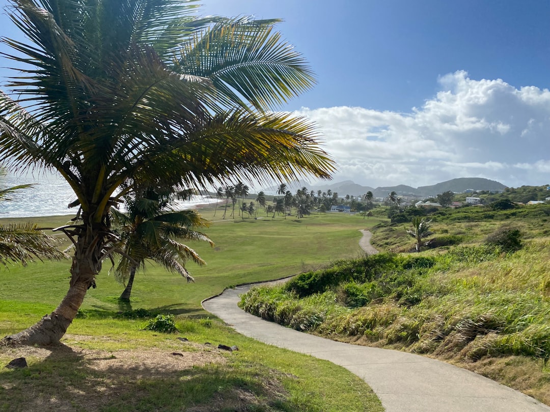 Nevis LLC: A Estrutura Empresarial de Proteção de Ativos Definitiva 2026