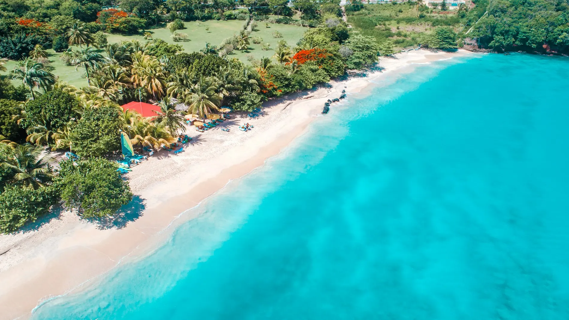 Aerial view of Grand Anse Beach, Grenada: Grenada citizenship by investment and second passport, 格林纳达护照续期:费用、文件与流程(2026年)