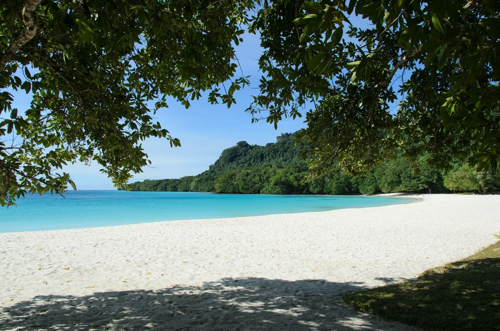 Weißer Sandstrand und türkisfarbene Lagune, von tropischem Wald gerahmt, in Vanuatu: Staatsbürgerschaft durch Investition in Vanuatu